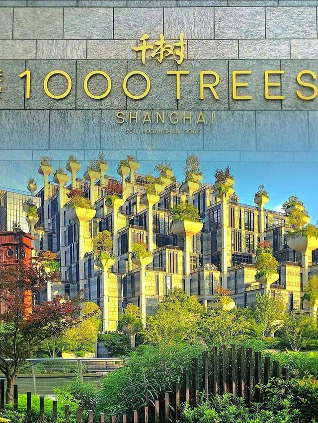 A Living Landmark at Tian An 1000 Trees Shanghai