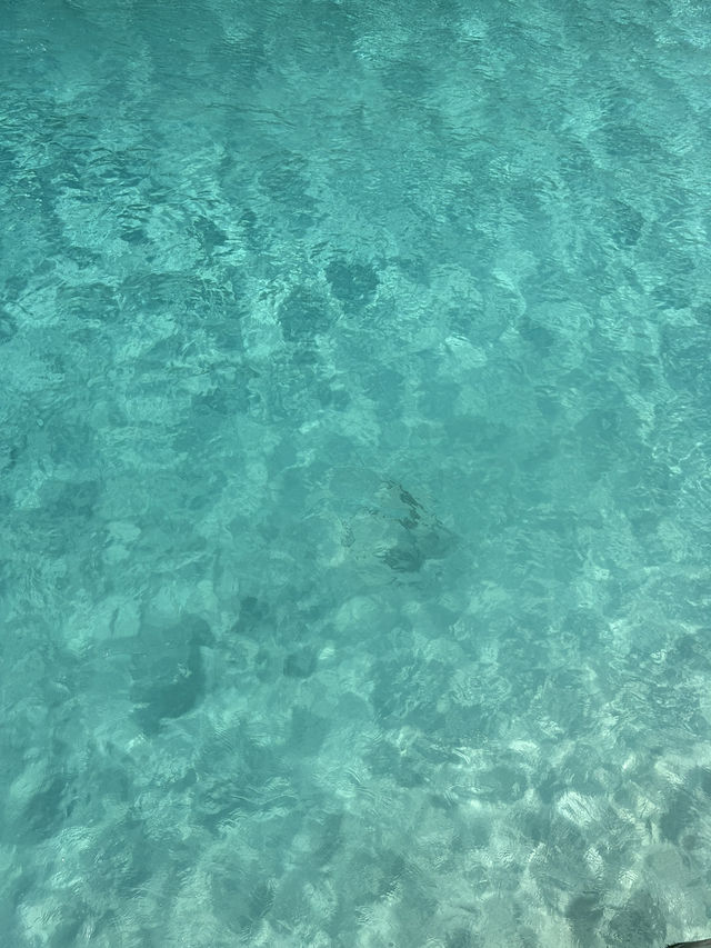 四天三晚的馬爾代夫滑梯島之旅結束！
