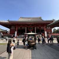 The Heart of Asakusa: A Solo Visit to Sensō-ji's Main Hall (Kannondō) 🙏