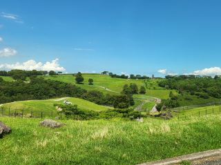 🇯🇵Enjoy an African Safari in Japan