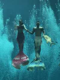 🌊✨ VinWonders Phu Quoc – โซน Aquarium