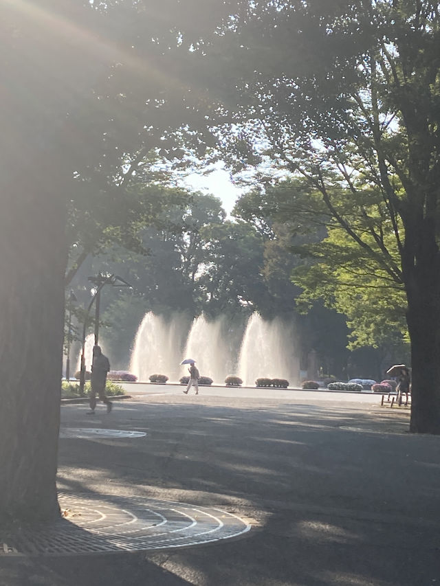 【東京・上野】東京観光では外せない!定番スポットの上野恩賜公園 【東京・上野】東京観光では外せない!定番スポットの上野恩賜公園