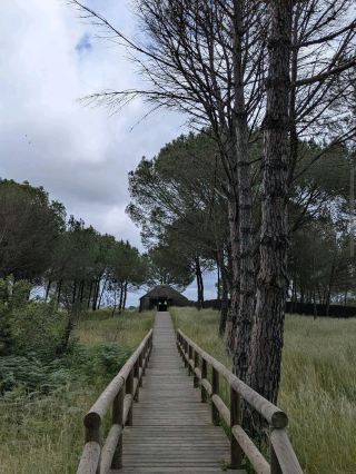 Национальный парк Доньяна (Андалусия)