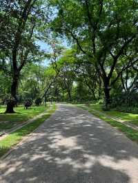 曼谷小眾寶藏公園｜詩麗吉公園散步好去處✨