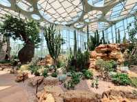 🌵【上海新地標！亞洲最大溫室花園「上海溫室花園」開放啦～沙漠雨林一次看夠，隨手一拍就是科幻大片！】🌵