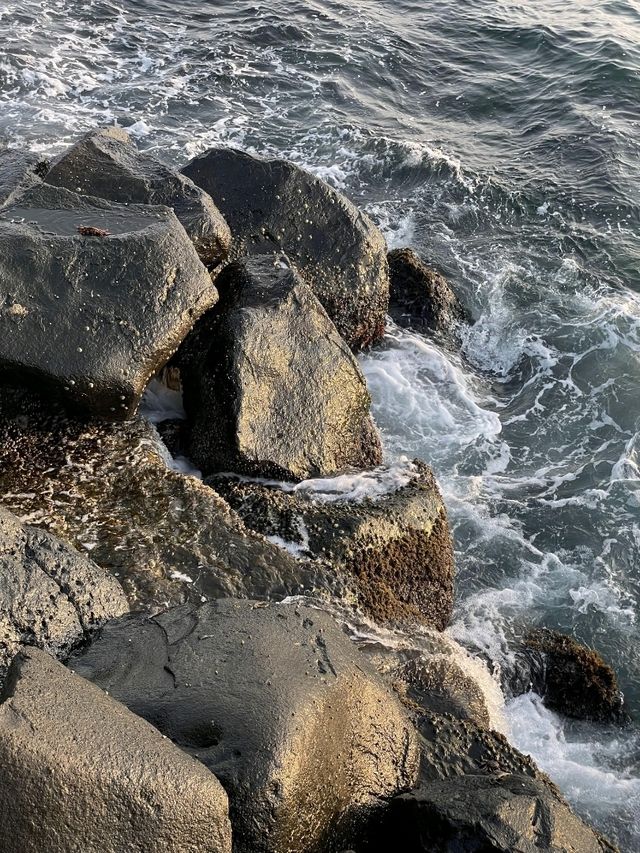 Jeddah Corniche in One Day 🌊✨