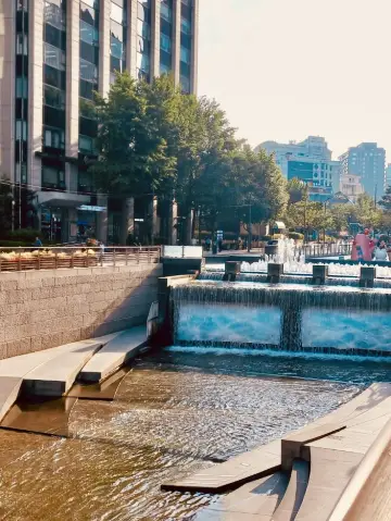 社區的中央樞紐