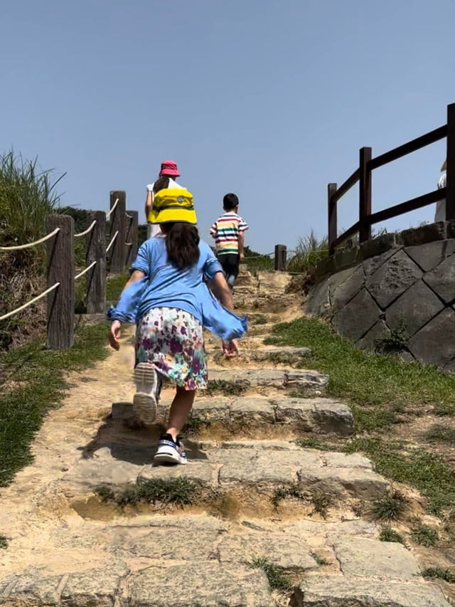 硫磺谷探奇、瀑布秘境與花鐘浪漫一日遊 硫磺谷探奇、瀑布秘境與花鐘浪漫一日遊