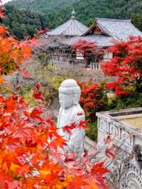 紅葉満喫1泊2日