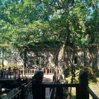 Prasat Beng Mealea