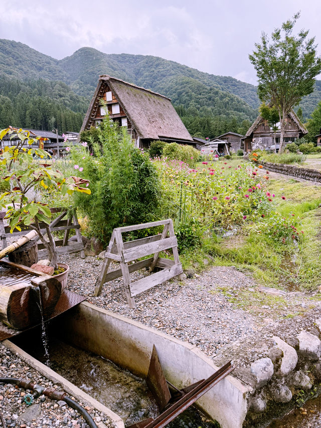 Skip the Filters, Try the Onigiri: Shirakawa-go in September