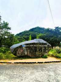바람의 휘파람이 들리는 공주 마곡사 솔바람길