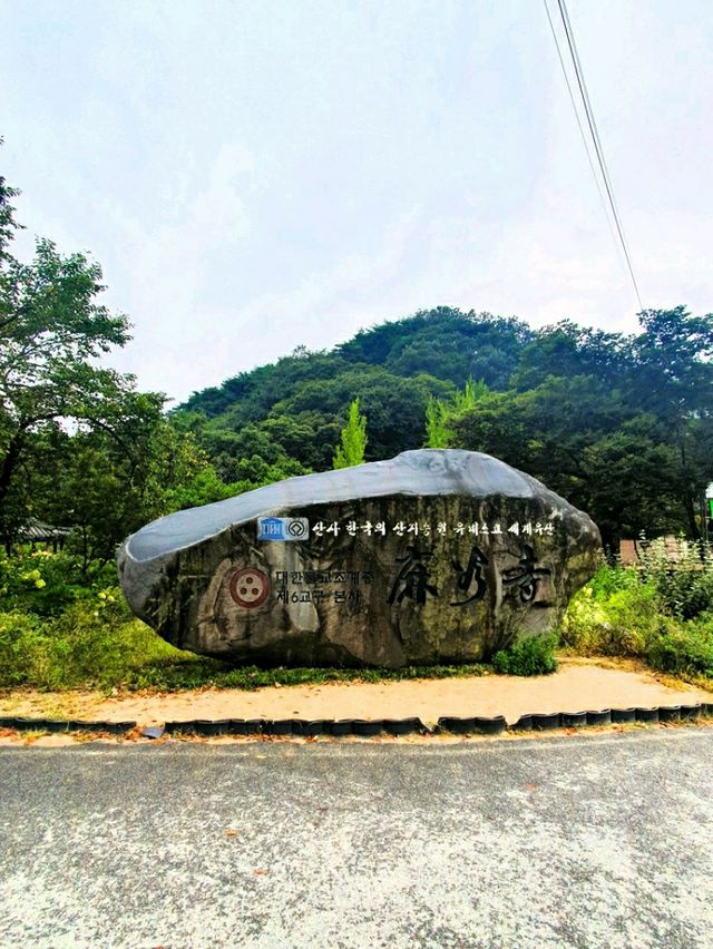 바람의 휘파람이 들리는 공주 마곡사 솔바람길