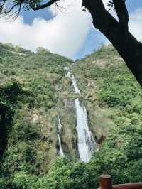 江門必去山林氧吧秘景 🌿