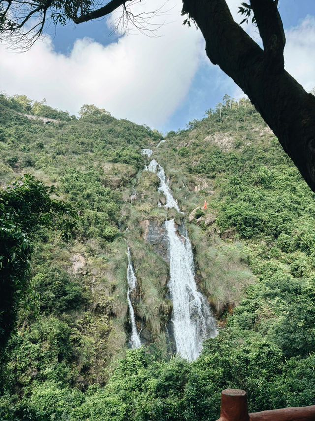 江門必去山林氧吧秘景 🌿 江門必去山林氧吧秘景 🌿