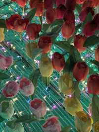 🖼️ Lighting Art Museum & Balloon Garden