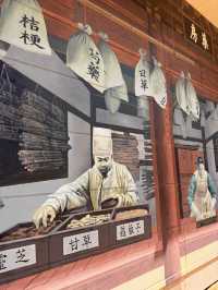大邱｜到藥令市韓醫藥博物館 看懂自成流派的韓醫源流