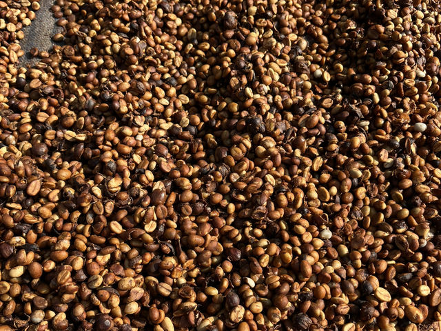 สวนยาหลวง จ.น่าน สวนยาหลวง จ.น่าน