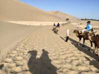 ✨ Highlights of the Silk Road Journey Through Gansu ✨
