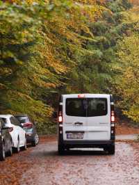 Walking the Stone River of Time on Mount Vitosha