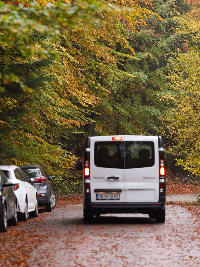 Walking the Stone River of Time on Mount Vitosha Walking the Stone River of Time on Mount Vitosha