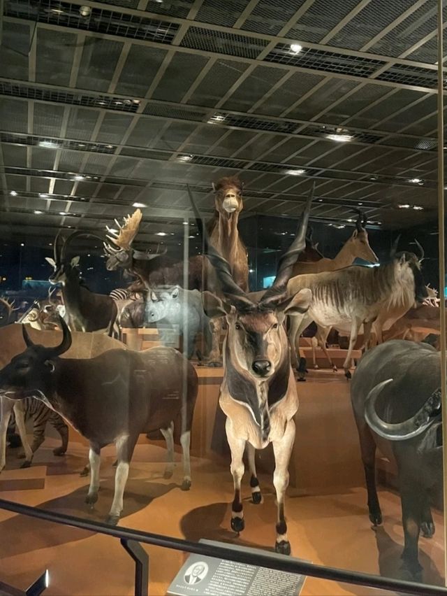 NATIONAL MUSEUM OF NATURE AND SCIENCE.
