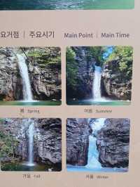 🌊 시원한 자연의 포효, 파래소폭포