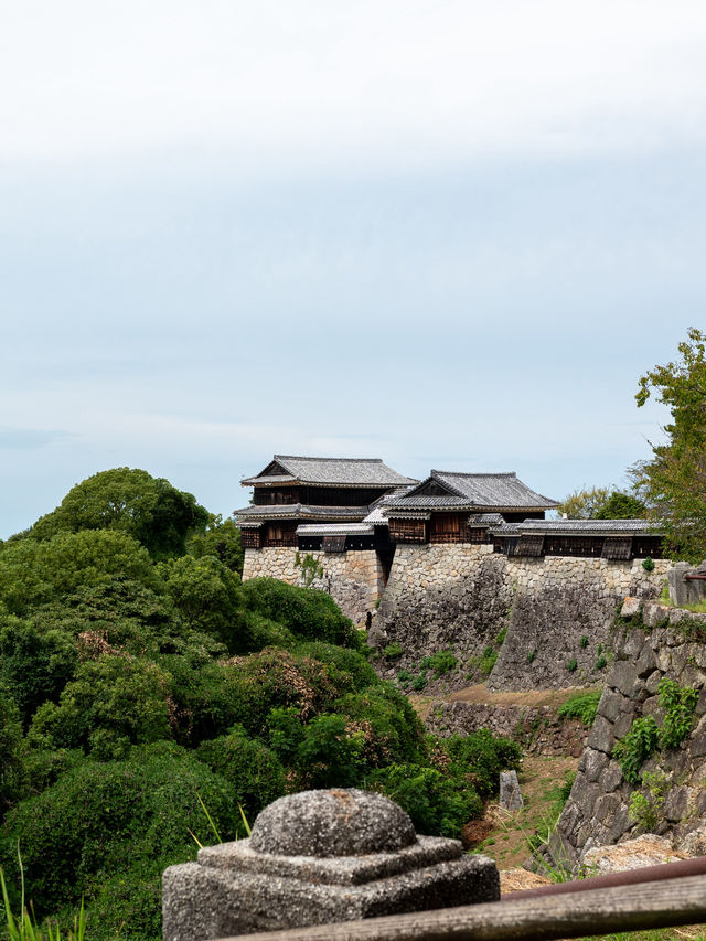 【香川旅行】松山市のシンボルといえば松山城
