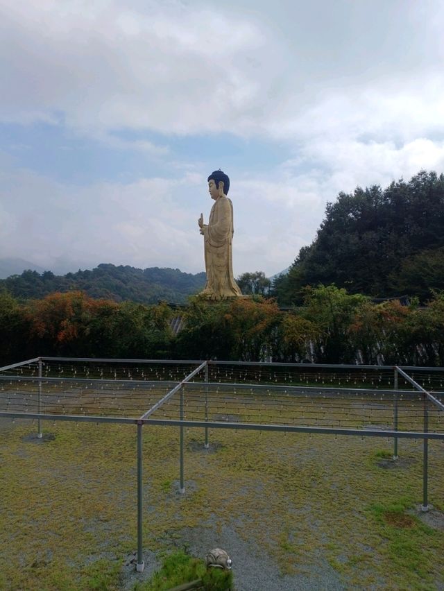 독특한 불상의 존재감이 돋보이는 광양 운암사