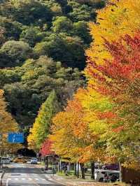🍁✨ Nikko – The “Autumn Leaf Paradise” of Tochigi ✨🍂