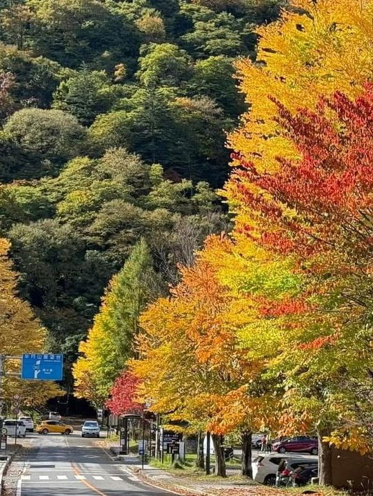 🍁✨ Nikko – The “Autumn Leaf Paradise” of Tochigi ✨🍂