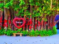 Bandos Maldives — Classic Island Charm Close to Malé