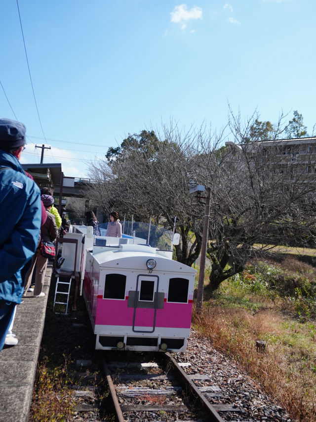 105mの鉄橋から見える壮大な景色 廃線を利用したトロッコ列車