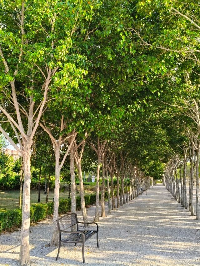 Discover E-Tram Day Out🚋 Green Escape 🌲