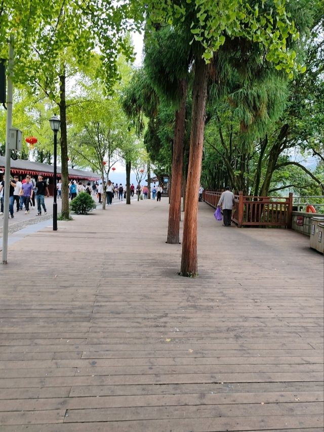 Dujiangyan: A Verdant Masterpiece
