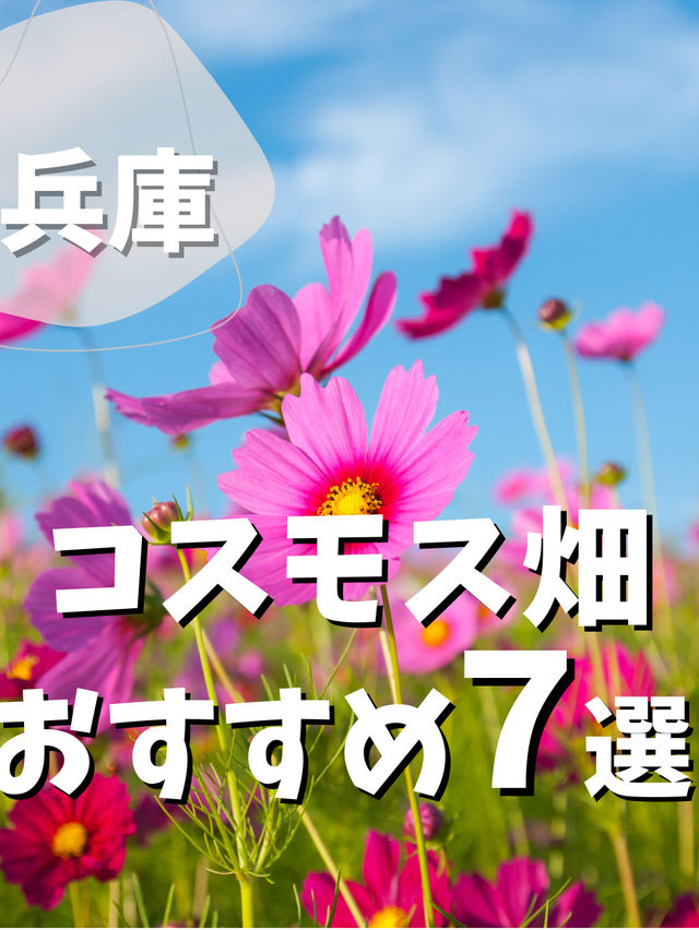 【兵庫】コスモス畑　おすすめ7選