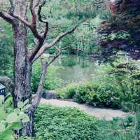 A Midwest Sanctuary: My Solo Day at Anderson Japanese Gardens, Rockford