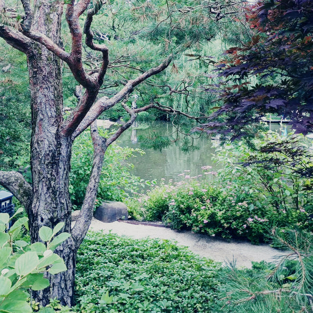A Midwest Sanctuary: My Solo Day at Anderson Japanese Gardens, Rockford