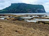 ชายหาดควังชิกี (Gwangchigi Beach)
