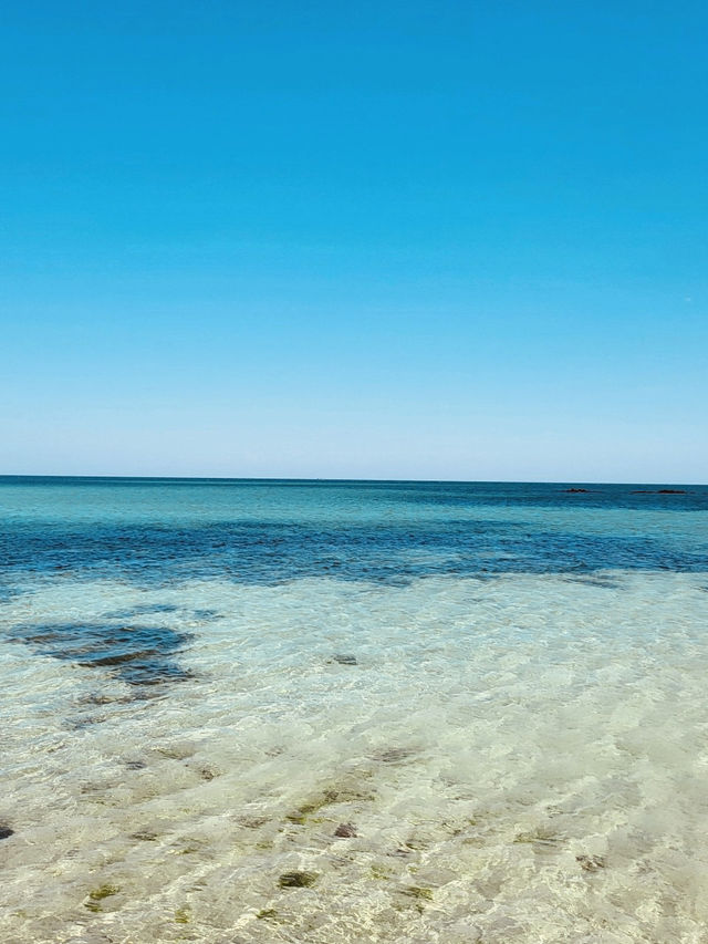 A Local Favorite for Shellfish and Wading
