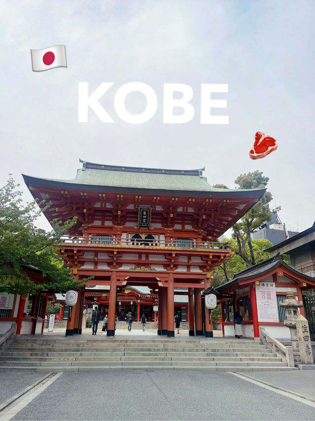🐮✨ โกเบ (Kobe)