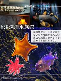 【静岡】沼津でやりたいことをまとめてみた📖