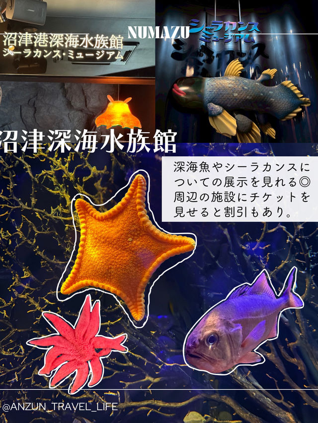 【静岡】沼津でやりたいことをまとめてみた📖 【静岡】沼津でやりたいことをまとめてみた📖