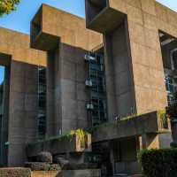 🎓 Hunan University — The Romance of Red Bricks and Sunshine 🌤