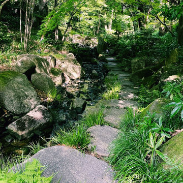 The Solo Daimyo's Stroll: Tokugawa-en Garden