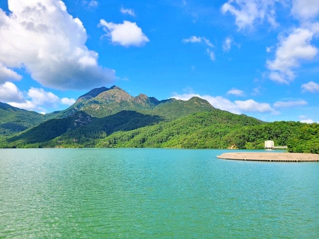 【鳳凰徑第9段~籮箕灣 ⭐】