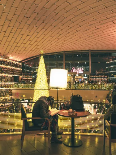 서울 도심에서 만나는 낭만가득 크리스마스 트리 “별마당도서관”🎄