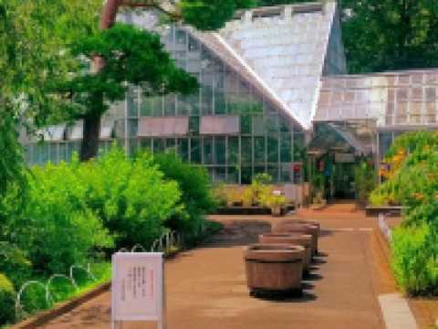 Discovering Nature’s Pharmacy at Tokyo Medicinal Plant Garden 🌿