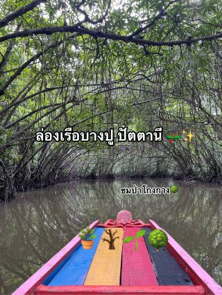 ล่องเรือชมป่าโกงกาง🪾🌳✨