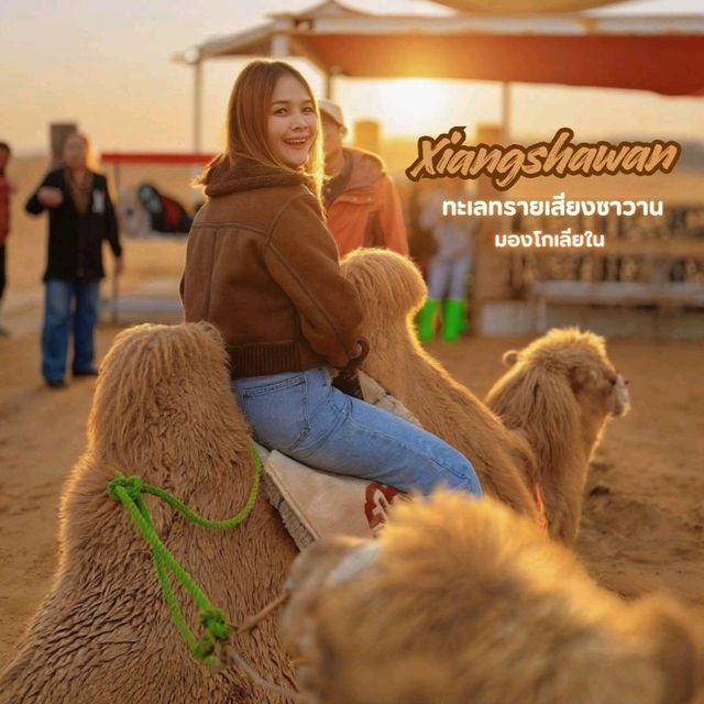 ขี่อูฐในทะเลทรายร้องเพลง